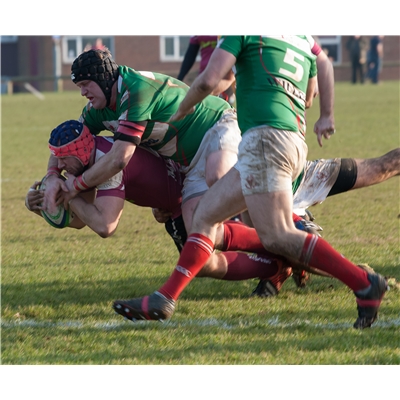 1st XV 43 v 19 Cheshunt RFC - Home League on 18 Feb 2017